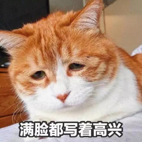 b1fa38c411c939578a0458a21300f80b.jpg